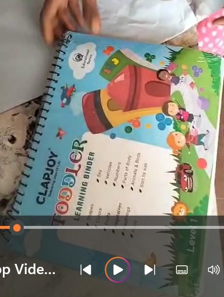 Toddler Learning Binder – Interactive & Reusable Activities for Ages 1–4