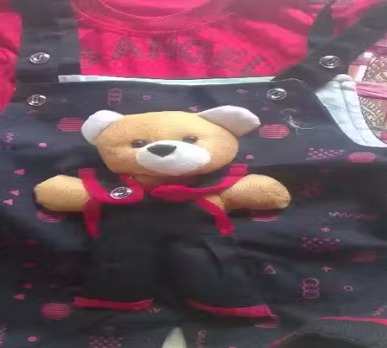 Cute baby dungaree with teddy